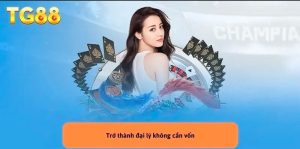Các lợi ích khi tham gia